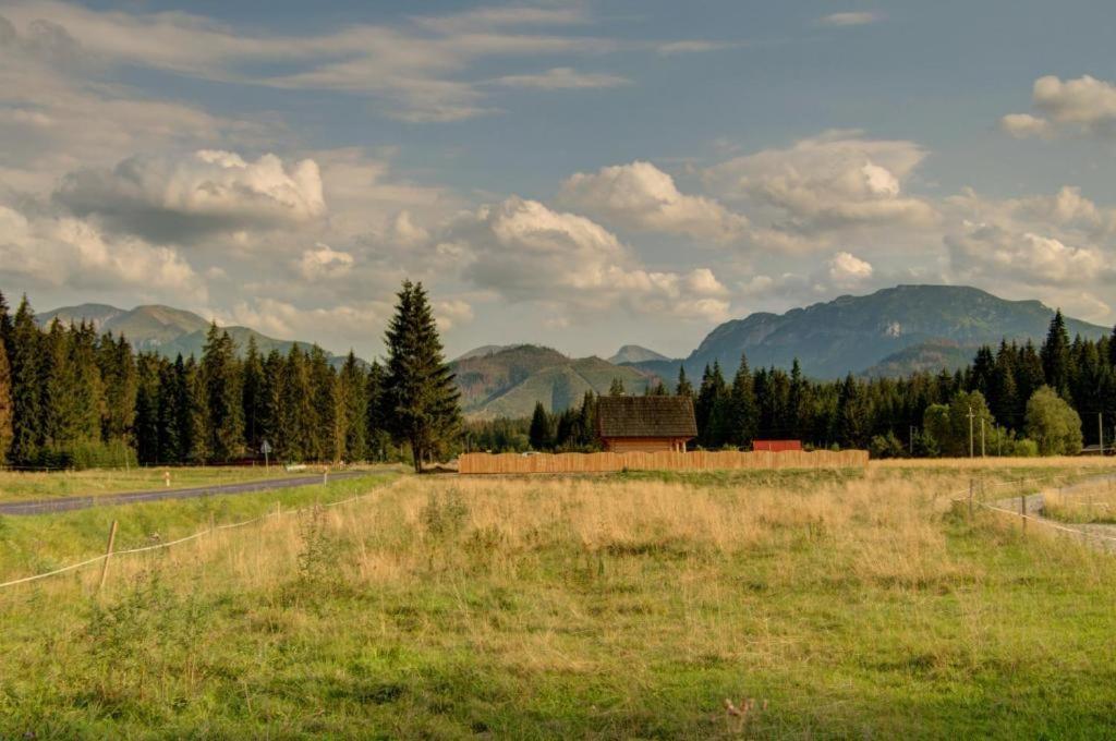 Domek Regionalny Baligowka Witów المظهر الخارجي الصورة